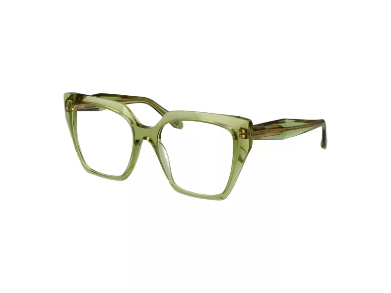 Ana Hickmann AH 6588 T01 55 Women glasses