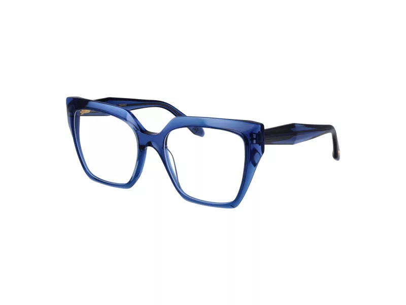Ana Hickmann AH 6588 T02 55 Women glasses