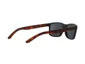 Arnette Slickster AN 4185 227381 59 Men sunglasses