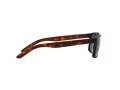 Arnette Slickster AN 4185 227381 59 Men sunglasses