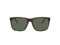 Arnette Adios Baby! AN 4272 27049A 56 Men sunglasses