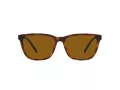 Arnette Cortex AN 4291 277083 57 Men sunglasses
