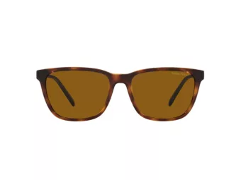 Arnette Cortex AN 4291 277083 57 Men sunglasses