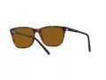 Arnette Cortex AN 4291 277083 57 Men sunglasses