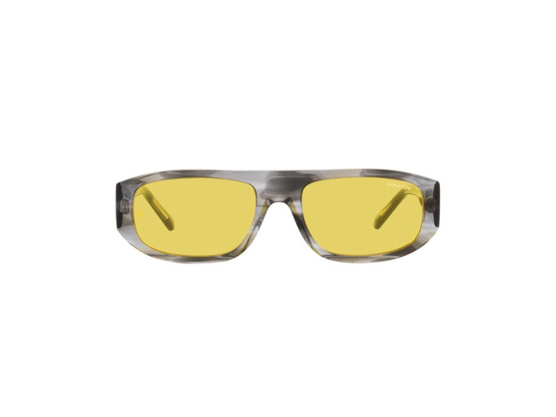 Arnette Gullwing sunglasses AN 4292 121685