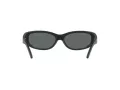 Arnette Catfish AN 4302 275881 65 Men sunglasses