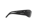 Arnette Catfish AN 4302 275881 65 Men sunglasses