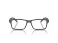 Arnette Leonardo AN 7179 2870 54 Men glasses