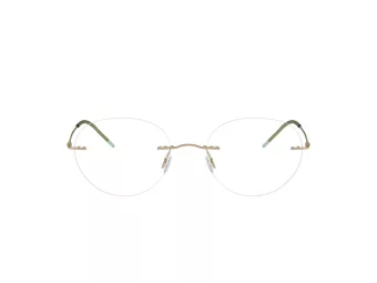 Giorgio Armani AR 5147 3002 52 Men glasses