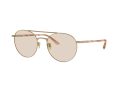 Giorgio Armani AR 6156 3002M4 54 Men sunglasses