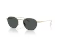 Giorgio Armani AR 6160T 338487 51 Men sunglasses
