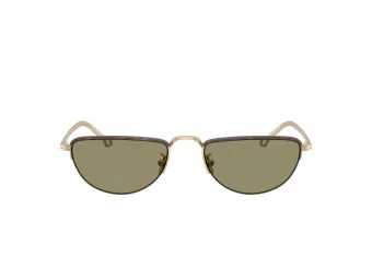 Giorgio Armani AR 6166J 30022A 53 Men sunglasses