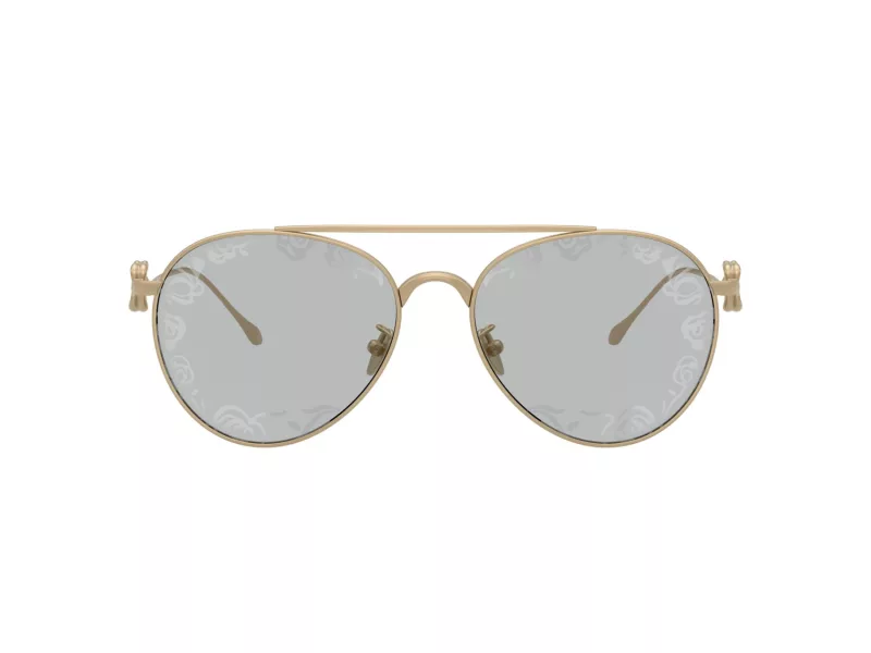 Giorgio Armani AR 6167 3002AL 57 Women sunglasses