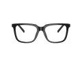 Giorgio Armani AR 7252U 5875 53 Men glasses