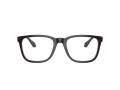 Giorgio Armani AR 7255 6088 55 Men glasses