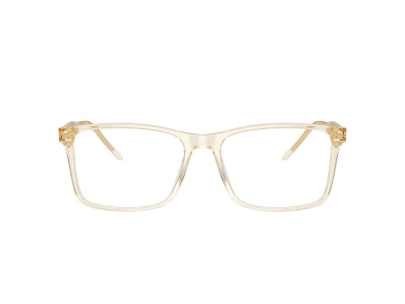 Giorgio Armani AR 7258 6077 55 Men glasses