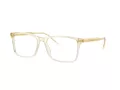 Giorgio Armani AR 7258 6077 55 Men glasses