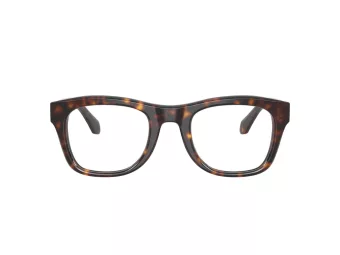 Giorgio Armani AR 7273 5879 49 Men glasses