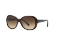 Giorgio Armani AR 8047 502613 56 Women sunglasses