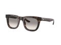 Giorgio Armani AR 8171 587932 49 Men sunglasses