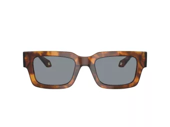 Giorgio Armani AR 8184U 598802 52 Men sunglasses