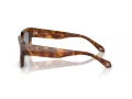Giorgio Armani AR 8184U 598802 52 Men sunglasses