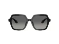 Giorgio Armani AR 8193U 500119 55 Women sunglasses