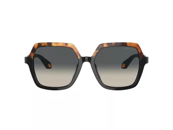 Giorgio Armani AR 8193U 587519 55 Women sunglasses