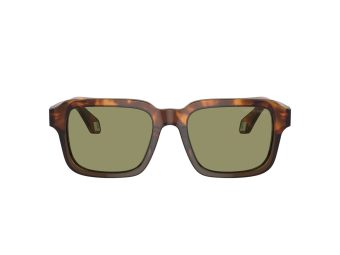 Giorgio Armani AR 8194U 598814 53 Men sunglasses