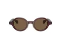Giorgio Armani AR 8205 606273 46 Men sunglasses