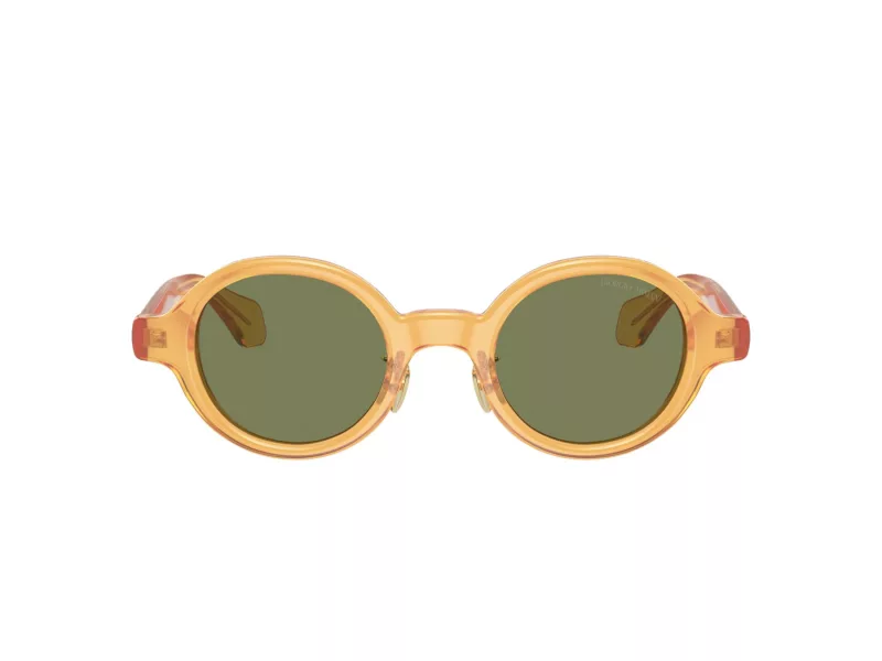 Giorgio Armani AR 8205 60632A 46 Men sunglasses