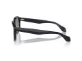 Giorgio Armani AR 8206 606419 51 Men sunglasses