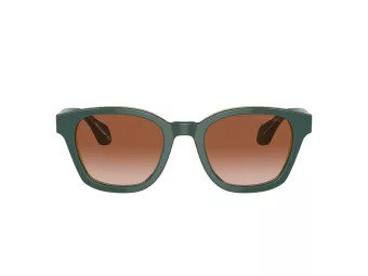 Giorgio Armani AR 8207 608613 50 Men sunglasses