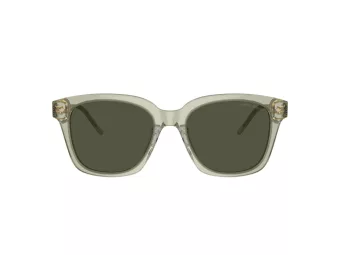 Giorgio Armani AR 8210U 608331 52 Women sunglasses