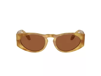 Giorgio Armani AR 8216 597973 51 Men sunglasses