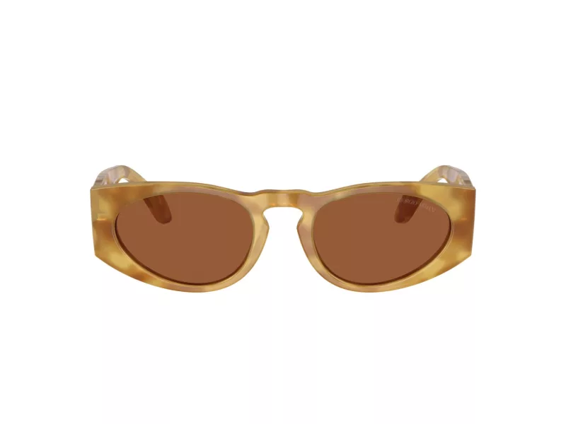 Giorgio Armani AR 8216 597973 51 Men sunglasses
