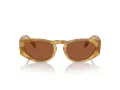 Giorgio Armani AR 8216 597973 51 Men sunglasses