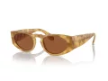 Giorgio Armani AR 8216 597973 51 Men sunglasses