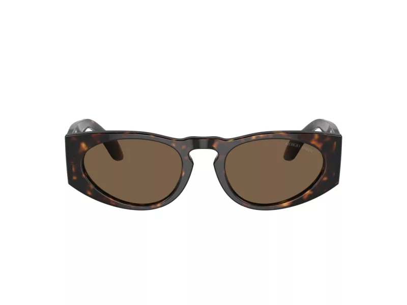 Giorgio Armani AR 8216 612473 51 Men sunglasses