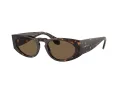 Giorgio Armani AR 8216 612473 51 Men sunglasses