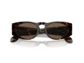 Giorgio Armani AR 8216 612473 51 Men sunglasses