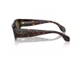 Giorgio Armani AR 8216 612473 51 Men sunglasses