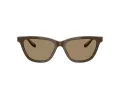 Giorgio Armani AR 8221 595753 55 Women sunglasses