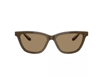 Giorgio Armani AR 8221 595753 55 Women sunglasses