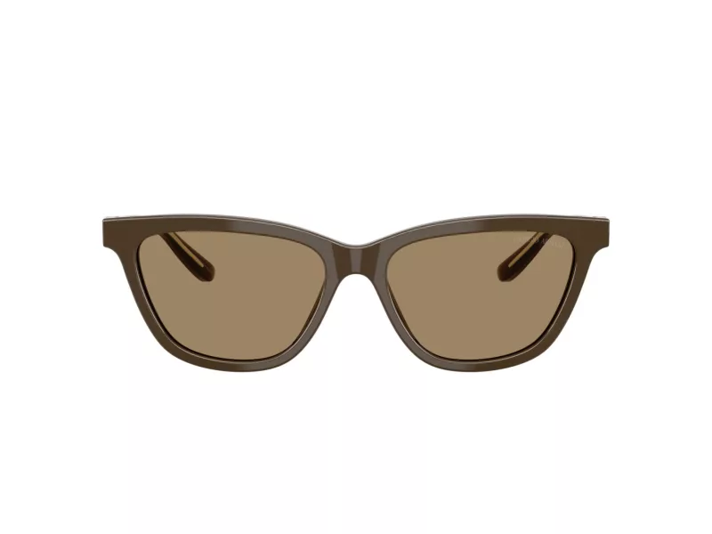 Giorgio Armani AR 8221 595753 55 Women sunglasses