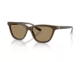 Giorgio Armani AR 8221 595753 55 Women sunglasses
