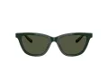 Giorgio Armani AR 8221 617331 55 Women sunglasses