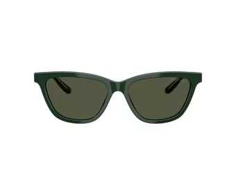Giorgio Armani AR 8221 617331 55 Women sunglasses