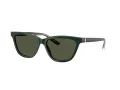 Giorgio Armani AR 8221 617331 55 Women sunglasses