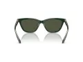 Giorgio Armani AR 8221 617331 55 Women sunglasses
